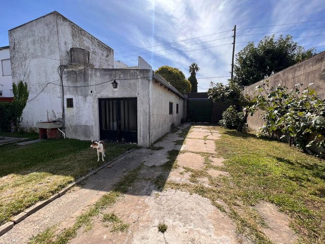 place photo 19