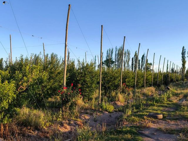 place photo 13