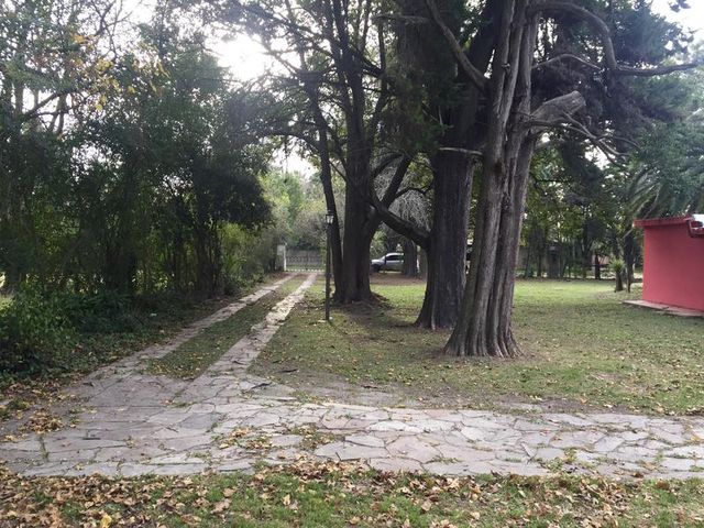 place photo 19