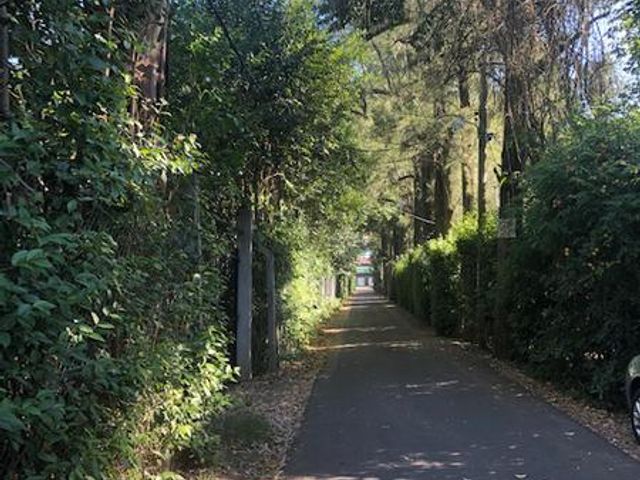 place photo 38