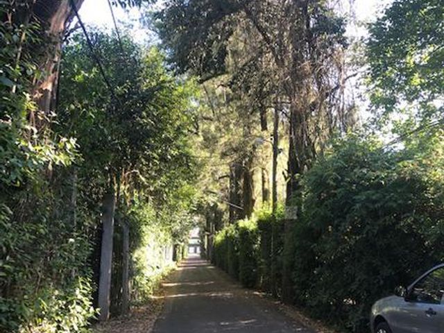 place photo 40