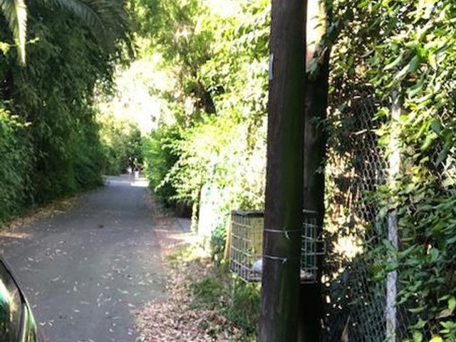 place photo 39