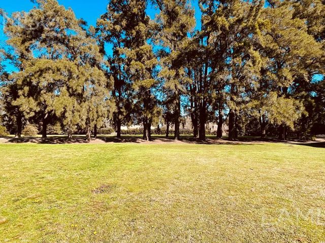 place photo 45