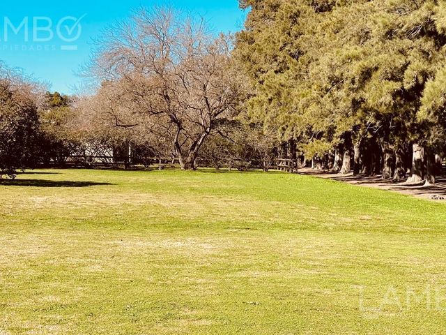 place photo 42