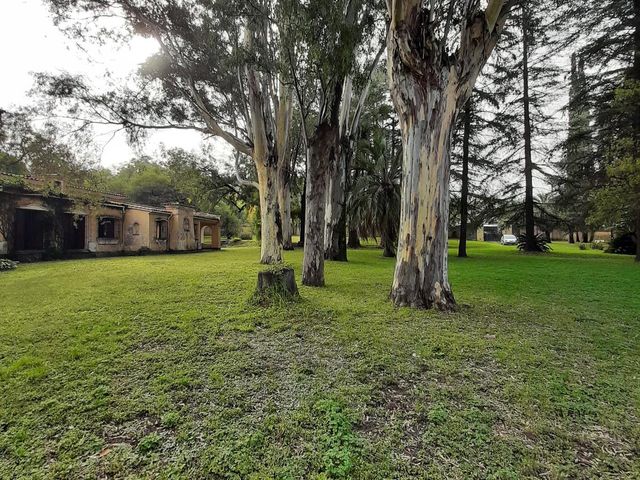 place photo 30