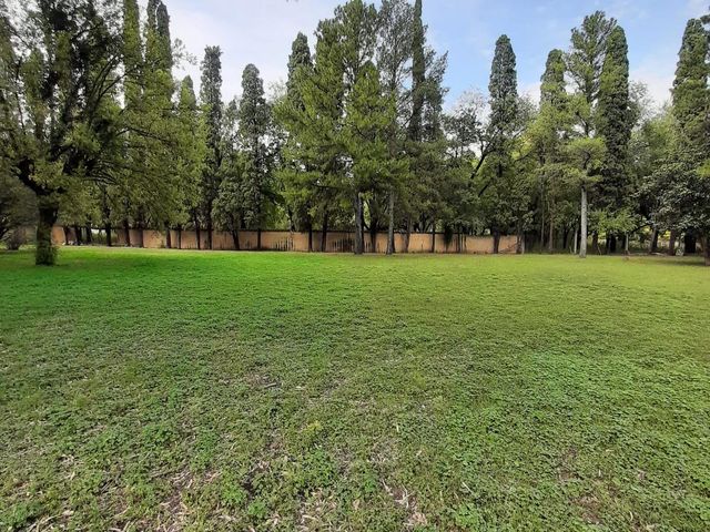 place photo 31