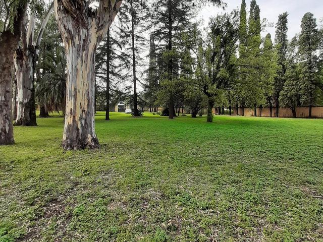 place photo 29