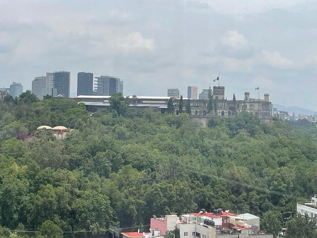 place photo 17