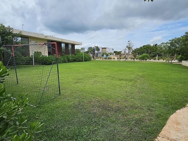 place photo 18
