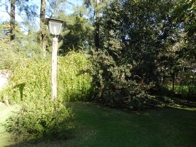 place photo 32