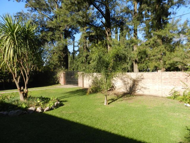 place photo 33