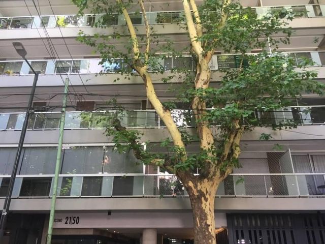 place photo 33