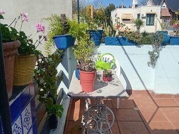 place photo 38