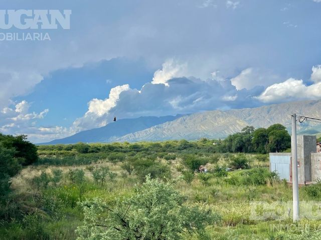 place photo 43
