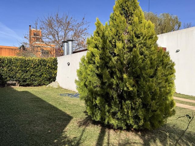 place photo 44