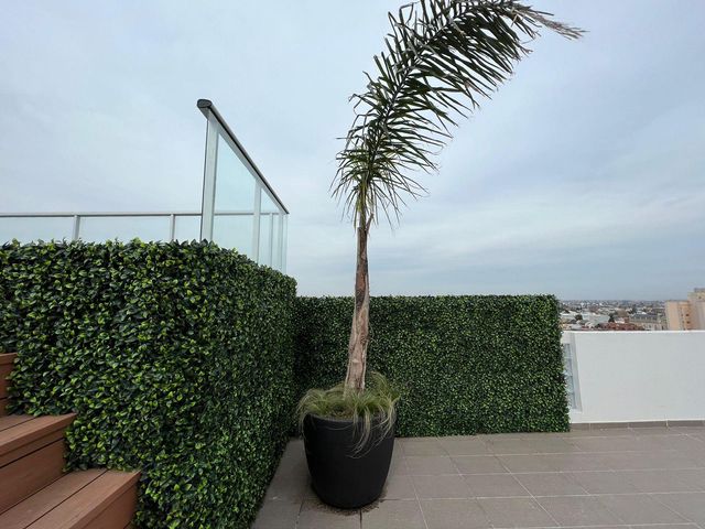 place photo 24