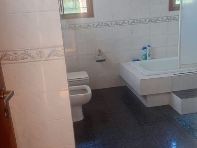 place photo 37