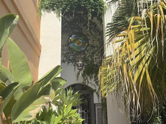 place photo 46