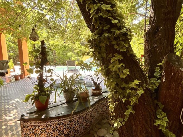 place photo 44