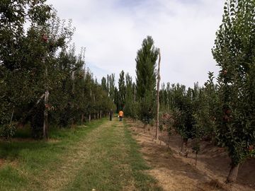 place photo 7