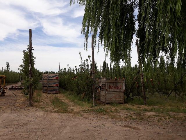 place photo 10