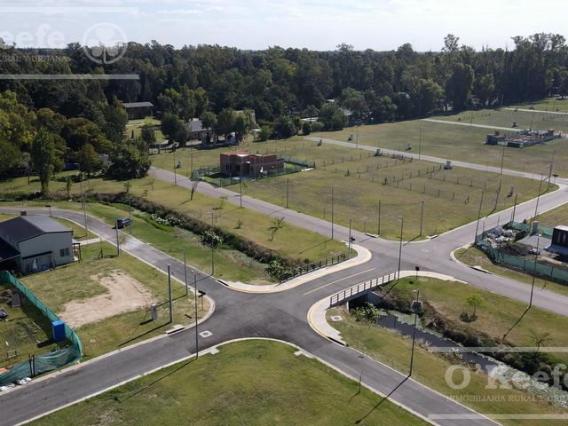 place photo 22