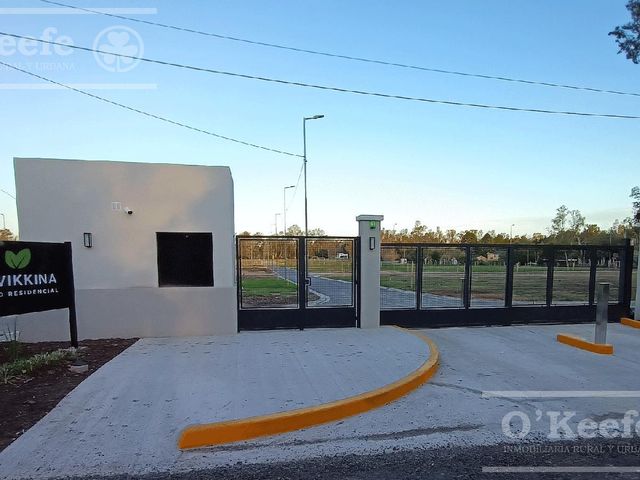 place photo 31