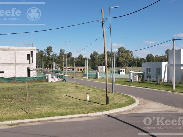 place photo 36