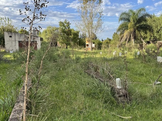 place photo 11