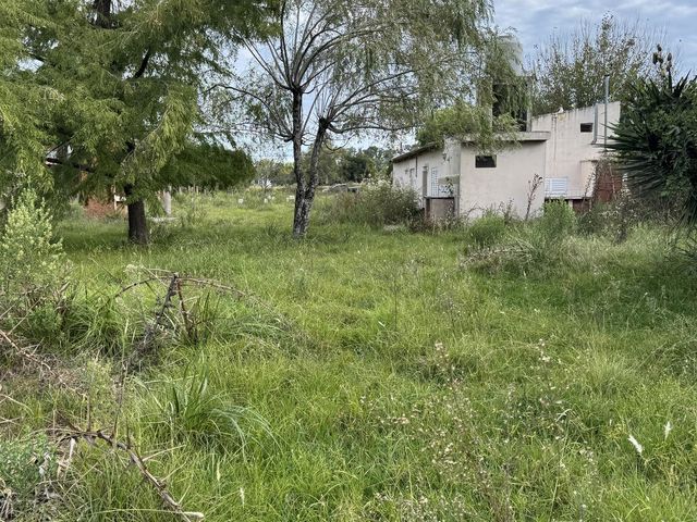 place photo 23