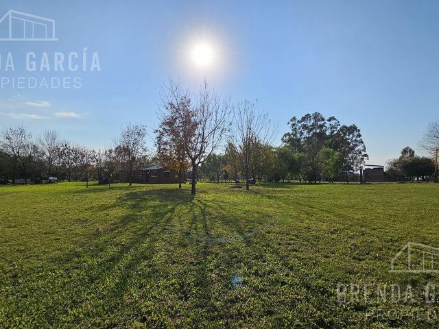 place photo 14
