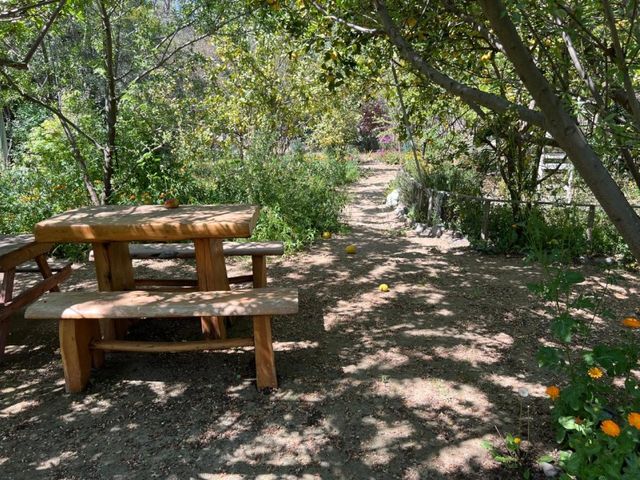 place photo 19