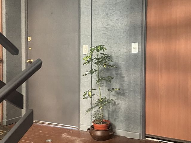 place photo 27