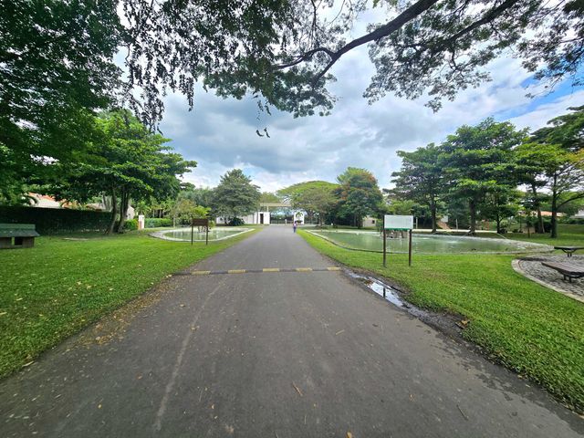 place photo 28