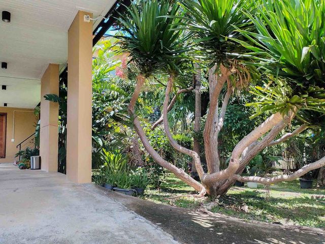 place photo 78