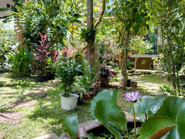place photo 81