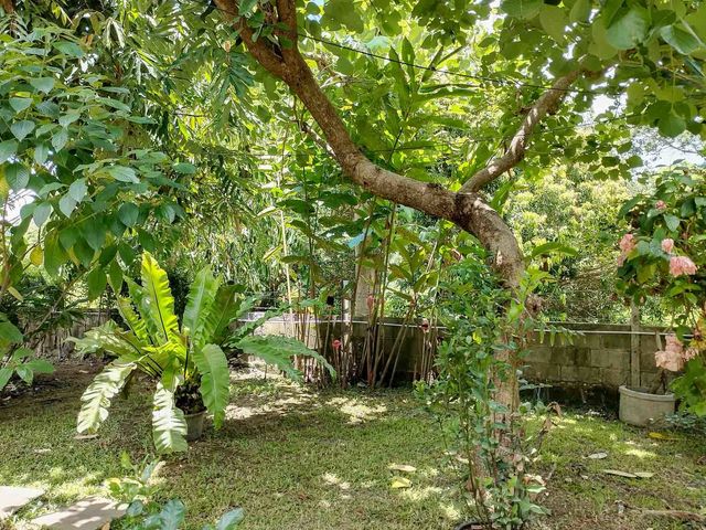 place photo 79