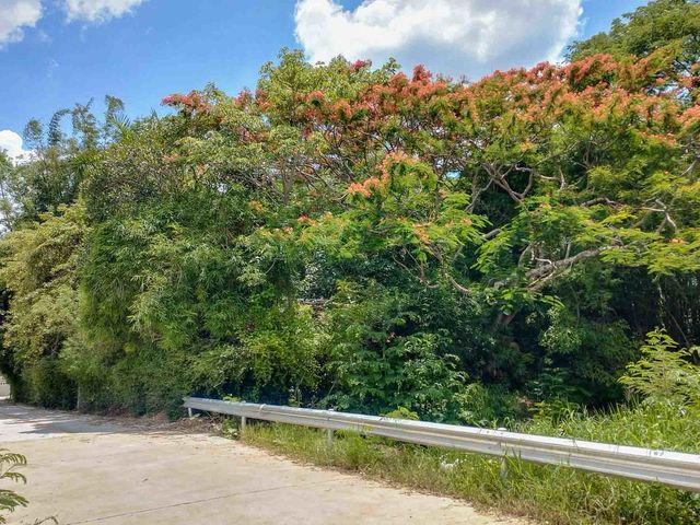 place photo 45