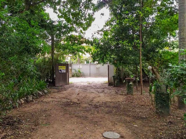 place photo 44