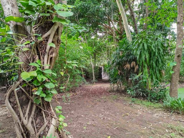 place photo 35