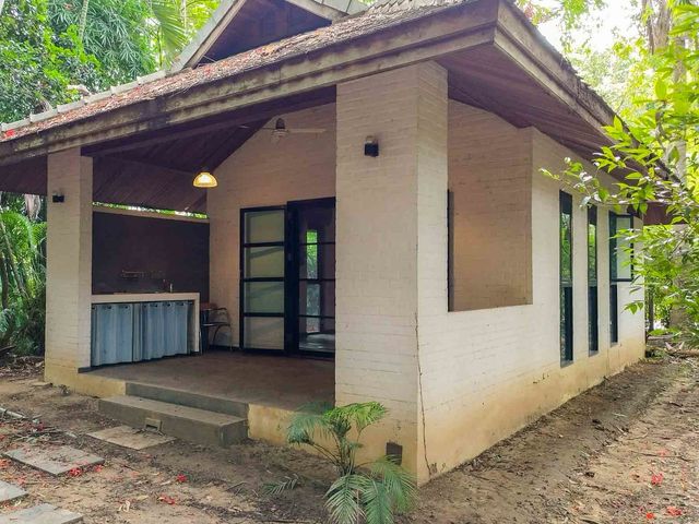 place photo 39