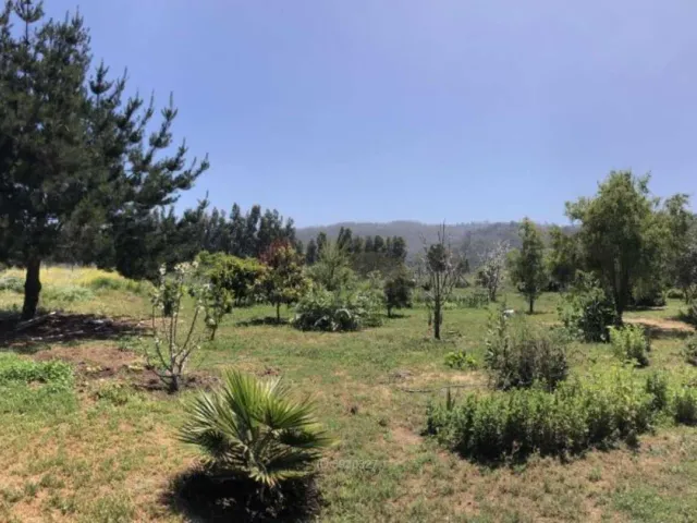 place photo 25