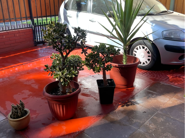 place photo 17