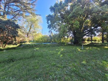 place photo 38