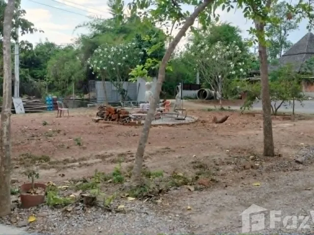 place photo 22