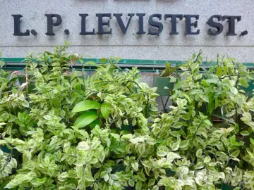 place photo 16