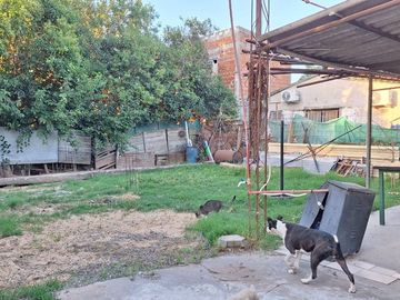 place photo 19