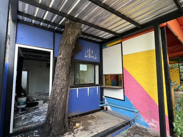 place photo 19