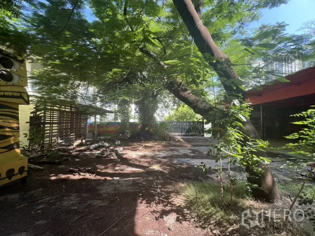 place photo 31
