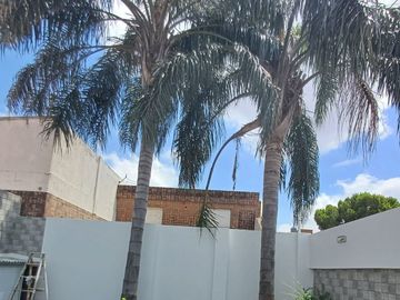 place photo 27